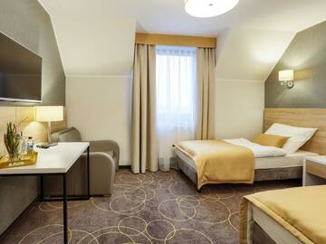 Фото номера Стандартный двухместный номер с 1 кроватью Отель Hotel Antek г. Zlinice 12