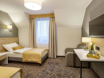 Фото номера Стандартный двухместный номер с 1 кроватью Отель Hotel Antek г. Zlinice 8